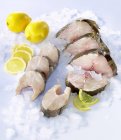 Carnes frescas de bacalao y eglefino - foto de stock