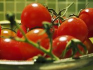 Tomates fraîches avec gouttes d'eau — Photo de stock