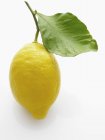 Limón fresco con hoja - foto de stock