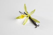 Vista de cerca de la flor de vainilla con vainas de vainilla y azúcar de vainilla - foto de stock