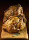 Closeup view of whole roasted chickens on cutting board — Stock Photo