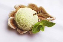 Peppermint ice cream — Stock Photo