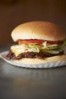 Burger gustoso con formaggio — Foto stock