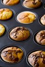 Muffins de albaricoque en plato - foto de stock