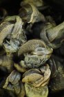 Closeup view of Escargot with snails heap — Stock Photo