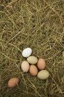 Braune und weiße Eier — Stockfoto