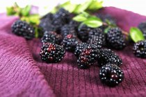 Fresh Blackberries on Towel — Stock Photo