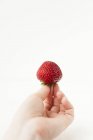 Main tenant fraise — Photo de stock