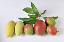 Свіжі стиглі манго — стокове фото