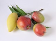 Mangos maduros frescos - foto de stock