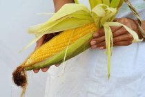 Женщина держит початок кукурузы — стоковое фото