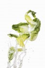 Blattsalat gewaschen — Stockfoto