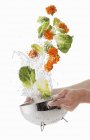 Lettuce and marigolds washed — Stock Photo