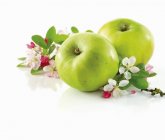 Green apples and branch — Stock Photo