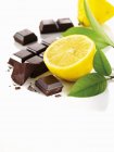 Lemon leaves and chocolate — Stock Photo