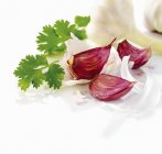 Fresh Garlic with cilantro — Stock Photo