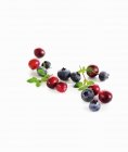 Fresh ripe cranberries and blueberries — Stock Photo
