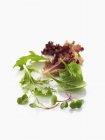 Raízes de rabanete e folhas de salada — Fotografia de Stock