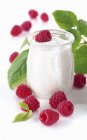 Organic yogurt with raspberries — Stock Photo
