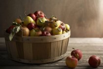 Cesta de maçãs maduras — Fotografia de Stock