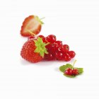 Fresas frescas maduras y grosellas rojas - foto de stock