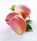 Fresh ripe victoria plums — Stock Photo
