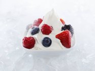 Yogurt ice cream with berries — Stock Photo