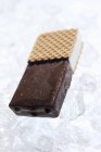 Tasty Ice cream in ice — Stock Photo