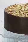 Gâteau au chocolat Brownie — Photo de stock