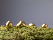 Золотые пасхальные яйца — стоковое фото