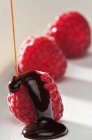 Molho de chocolate pingando em framboesas — Fotografia de Stock
