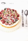Berry tart with icing sugar — Stock Photo
