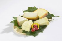 Spanischer Käse auf Blättern — Stockfoto