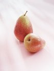 Fresh Ripe Pears — Stock Photo