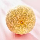 Melone galia maturo fresco — Foto stock