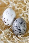 Vista close-up de dois ovos de codorna de chocolate na palha para a Páscoa — Fotografia de Stock