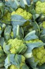 Green cauliflowers, close-up — Stock Photo