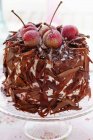 Чорний ліс Вишневе тістечко — стокове фото