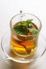 Tè alla menta piperita con menta fresca — Foto stock