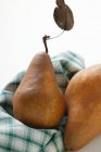Свіжі стиглі груші — стокове фото