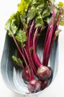 Beetroot with leaves in metal bowl — Stock Photo