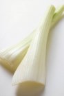 Fresh Celery stalks — Stock Photo