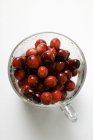 Fresh cranberries in glass cup — Stock Photo