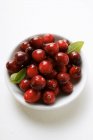 Cranberries with drops of water — Stock Photo