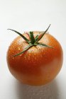 Tomate vermelho maduro fresco — Fotografia de Stock