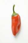 Red chili pepper — Stock Photo