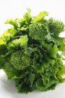 Broccoli verdi rabbie — Foto stock