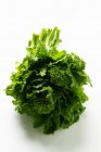 Brócolis-verde — Fotografia de Stock