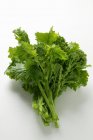 Green Broccoli rabe — Stock Photo
