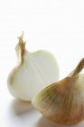 Fresh onion halved — Stock Photo